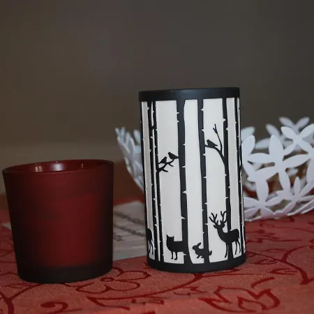 Schoenes In Dargun Mit Pool *