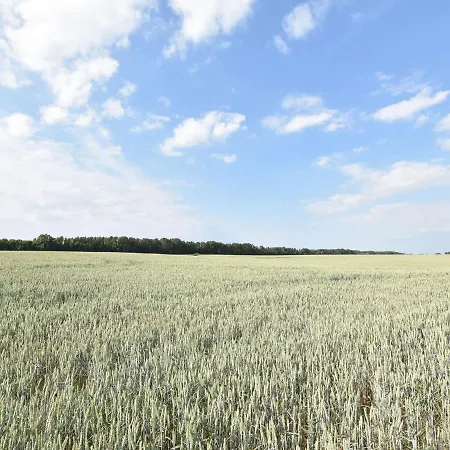 Schoenes In Dargun Mit Pool Barlin