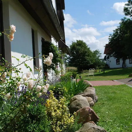 Beautiful Mansion In Dargun Mecklenburg With Swimming Pool